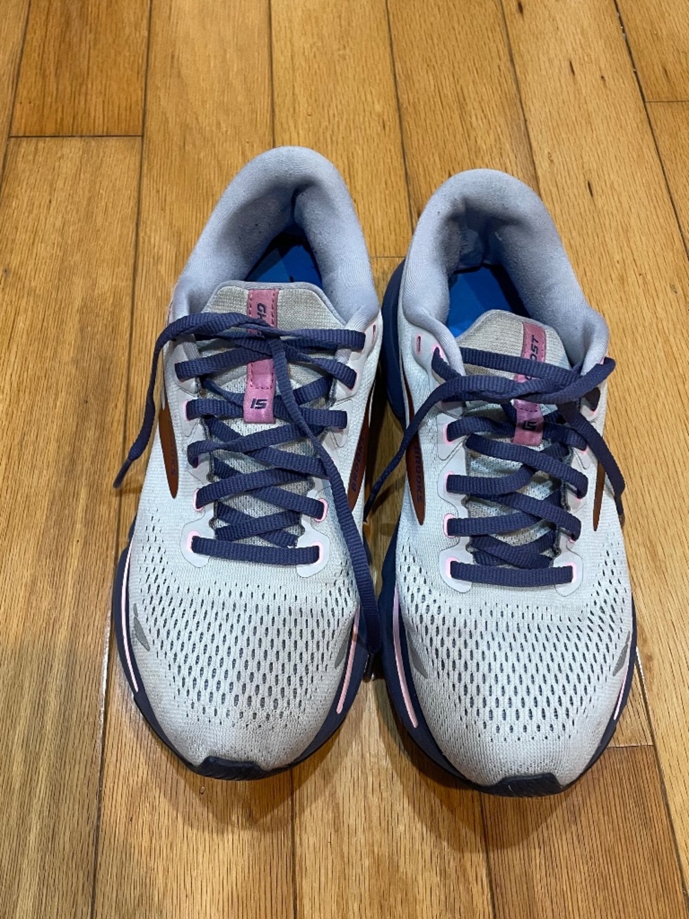 Brooks ghost 15 shoes